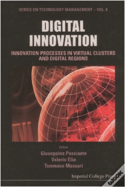 Capa do artigo Digital Innovation: Innovation Processes In Virtual Clusters And Digital Regions