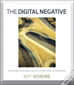 Capa do artigo Digital Negative, The