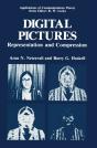 Digital Pictures - Preview