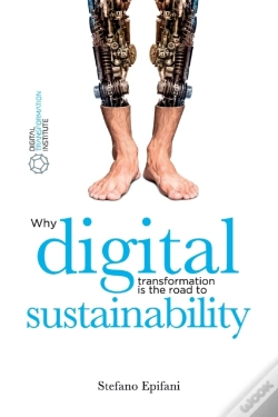Capa do artigo Digital Sustainability