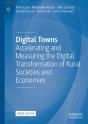 Digital Towns - Preview