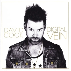 Capa do artigo Digital Vein - CD