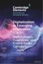 Digitalization In Emerging Economies - Preview