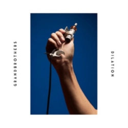 Capa do artigo Dilation - Vinil
