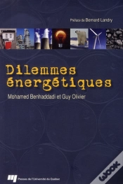 Capa do artigo Dilemmes Energetiques