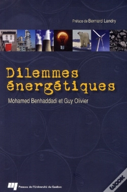 Capa do artigo Dilemmes Energetiques
