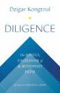 Diligence - Preview