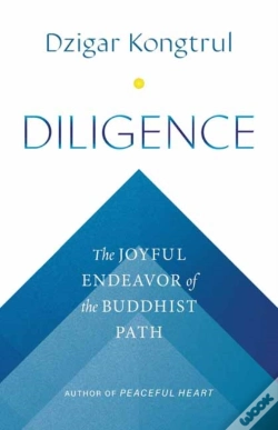 Capa do artigo Diligence