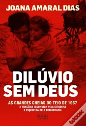 Capa do artigo Dilúvio Sem Deus