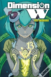 Capa do artigo Dimension W, Vol. 13