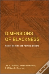 Dimensions Of Blackness