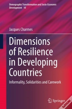 Capa do artigo Dimensions Of Resilience In Developing Countries