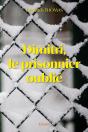 Dimitri, Le Prisonnier Oublié - Preview