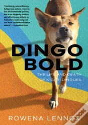 Capa do artigo Dingo Bold