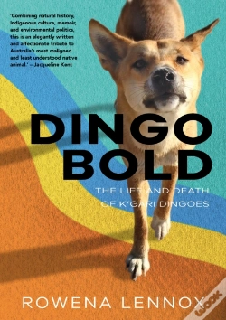 Capa do artigo Dingo Bold