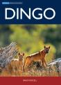 Dingo - Preview