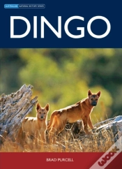 Capa do artigo Dingo