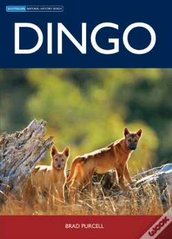 Capa do artigo Dingo