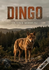 Capa do artigo Dingo - Les Aventures D Un Dingo Chien