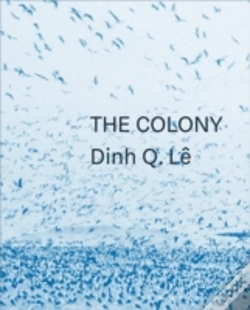 Capa do artigo Dinh Q. Le The Colony