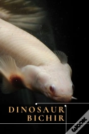 Capa do artigo Dinosaur Bichir