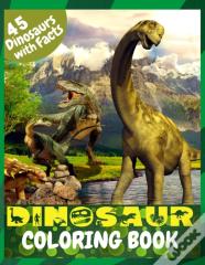 Dinosaur Coloring Book
