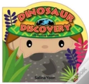 Capa do artigo Dinosaur Discovery