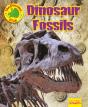 Dinosaur Fossils - Preview