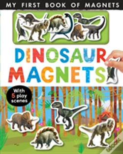 Capa do artigo Dinosaur Magnets