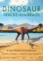 Dinosaur Tracks From Brazil - Preview