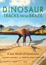 Dinosaur Tracks From Brazil