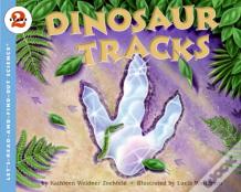Dinosaur Tracks