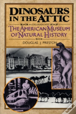 Capa do artigo Dinosaurs In The Attic
