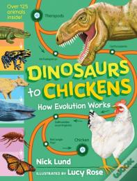 Dinosaurs To Chickens
