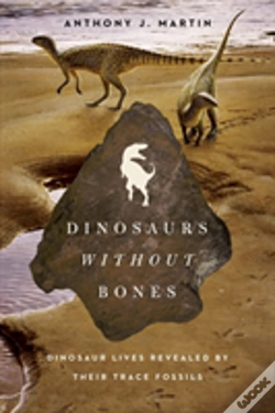Capa do artigo Dinosaurs Without Bones