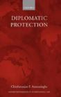 Diplomatic Protection - Preview