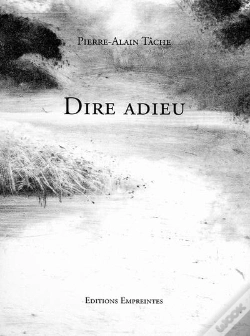 Capa do artigo Dire Adieu