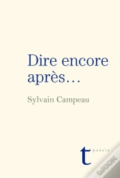 Capa do artigo Dire Encore Et Apres