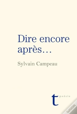Capa do artigo Dire Encore Et Apres