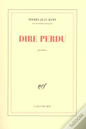 Capa do artigo Dire Perdu