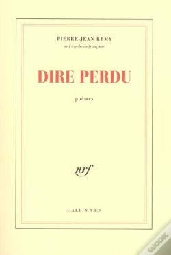 Capa do artigo Dire Perdu