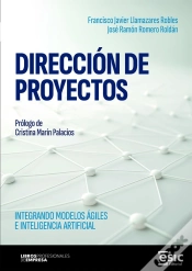 Capa do artigo Direccion De Proyectos