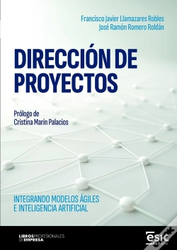 Capa do artigo Direccion De Proyectos