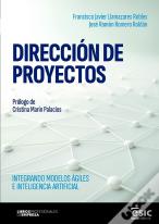 Direccion De Proyectos