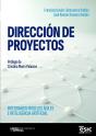 Direccion De Proyectos - Preview