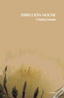 Capa do artigo Dirección Noche