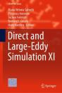 Direct And Large-Eddy Simulation Xi - Preview