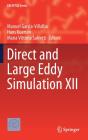 Direct And Large Eddy Simulation Xii - Preview