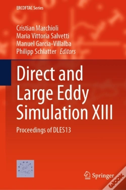 Capa do artigo Direct And Large Eddy Simulation Xiii