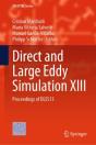 Direct And Large Eddy Simulation Xiii - Preview